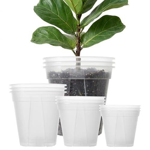 Large Clear Nursery Pot with Drainage Holes 7/8/10/12 inch,12pack | for Indoor&Outdoor Plant, monstera plant pot, monitor soil moisture and root health, semi-clear Plastic material - size: 7/8/9.5/12inch without trays