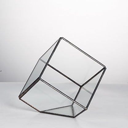 NCYP Small 3.93 Inches Geometric Glass Terrarium Box, Inclined Cube Clear Decorative Planter, Tabletop Air Plant Holder, Succulent Display Flower Pot, Black Centerpiece (No Plants, No Lid)