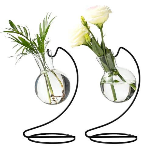 Desktop Glass Plant Propagation Station with Metal Stand,Tabletop Plant Terrarium,Hydroponics Vase for Propagating Hydroponic Office Garden Home Decor, for Weddings, Centerpieces (2)