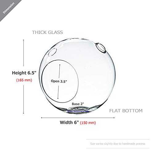 WGV Planter Terrarium, Width 6" Height 6.5", Clear Globe Glass Vase Container Orb with Two Side Opening, DIY Air Planter, Votive Candle Holder for Decor, 1 Piece - size: Double Opening Orb