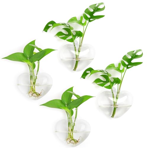 XXXFLOWER Wall Hanging Propagation Station with 5 Glass Test Tubes 3 Tiers+Wall Hanging Glass Terrariums,Heart-Shaped Set of 4