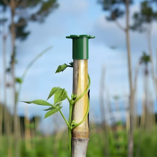 Cosmos 12 Pcs Garden Cane Caps Bamboo Stick Protectors Rattan Toppers Bamboo Pole Sleeves Plant Stick Support Holder Small Cane End Covers for Outdoor Fence Rebar Stake (Flower Shape) - style: Flower Shape