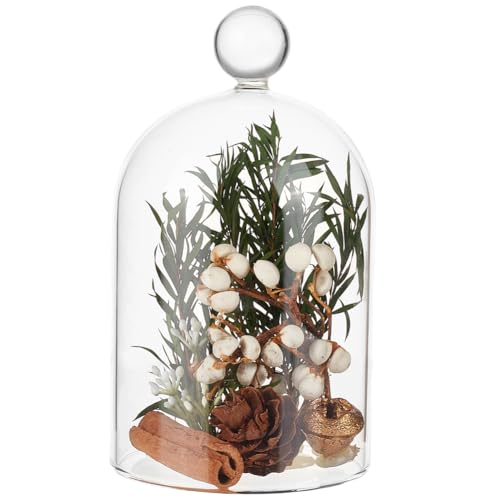 BENECREAT 2.7x4.7inch Glass Cloche, Dome Bell Jar Display Case for Plants, Figurines, Trinkets, LED Lights and Candles - size: 37.2 Ounces