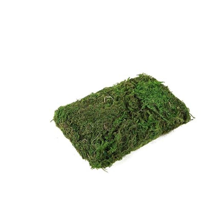 Efavormart 50g Bag Preserved Green Reindeer Moss, Soft Natural Decorative Moss for Terrariums, Fairy Gardens and Potted Plant Soil Cover