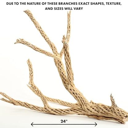 Koyal Wholesale 24" Cholla Wood Aquarium Leopard Gecko Tank Accessories Untreated Large Driftwood for Aquarium Wood Hermit Crab Accessories Drift Wood for Shrimp Tank Gecko Accessories - size: 24-Inch