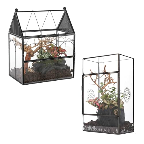 NCYP House Shape Glass Enclosure with Vent and Door, and Small Glass Terrarium with 3 Vent Holes, for Jumping Spider, Insects, Indoor Tabletop Decor (Terrarium Only)