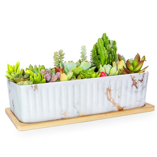 Rectangular Planter, 12 Inch Large Succulent Pots with Drainage Tray, Shallow Window Sill Planter for Indoor Cactus Flower Plants Ceramic Marble Window Box Planter Decorative Bonsai Plant Container - color: White & Golden
