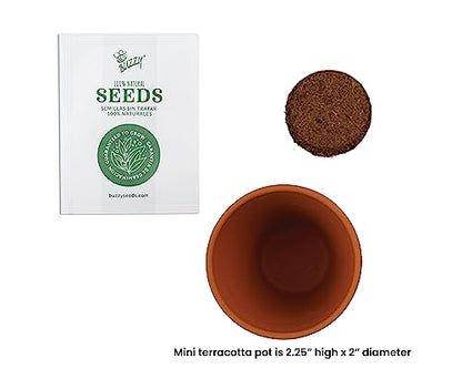 BUZZY Seeds Lavender Grow Kit 20-Pack, Mini Terracotta Pots, Bulk Favors - color: Multicolor