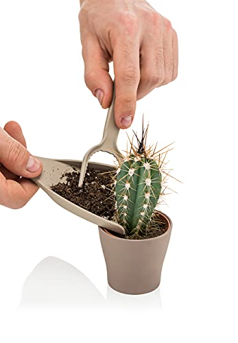 Mini Garden Hand Transplanting Set of 4 pc Succulent Cacti Cactus Tools Miniature Planting, Set for Fairy Garden, Potting, Houseplant, Bonsai Tools, Bonsai Kit, Shovel, Thong (Green) - color: Green