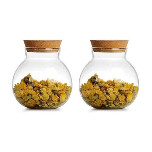 17oz Spherical Glass Jar with Cork Lid Airtight - Kitchen Glass Jar for Preserving and Storing candy, tea, Coffee, Spice, flour, Beans etc (2)