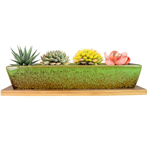 ARTKETTY Succulent Pots, 9.8 Inch Ceramic Succulent Planters with Drainage - color: Green