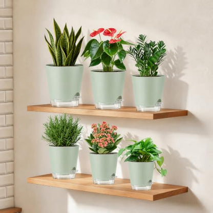 QRRICA 5/5.5/6/6.5/7/8 inch Self Watering Pot Set, Visible Water Level Planter with Transparent Reservoir & Drainage Holes, Plastic Flower Pots with Cotton Rope for Indoor/Outdoor Use (Green) - color: Green