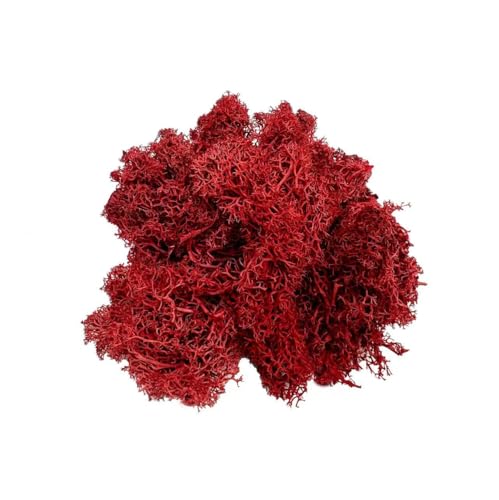 Bergamo Art 95g Preserved Reindeer Moss in Red - color: Red