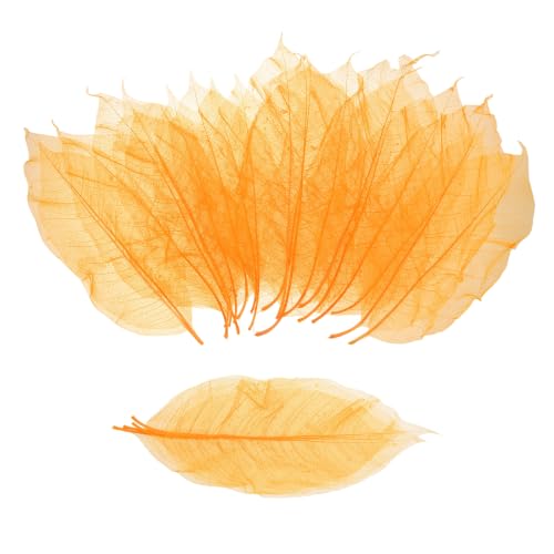 MECCANIXITY 100Pcs Skeleton Rubber Tree Real Leaves 5.9-7.1" Orange | Natural Scrapbook, for Resin DIY Craft Card Wedding Bouquets Seasonal Gift Home Decoration - color: Orange, size: 5.9-7.1 Inch