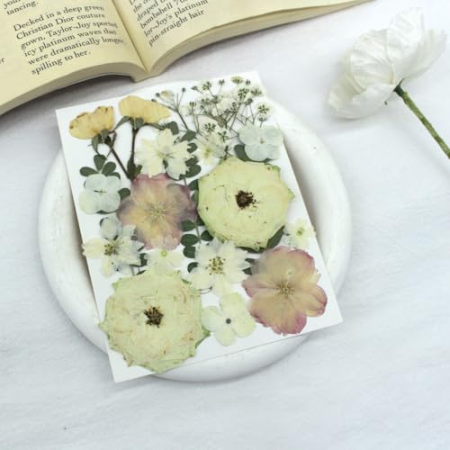 80Pcs Pressed Flowers, White Dried Flowers Natural Pressed Flowers Bulk for Resin Molds, Nail Art, Scrapbooking, Candle Holder, Jewelry Making, Real Dried Pressed Flowers DIY Crafts Kit - color: Multi Color-14