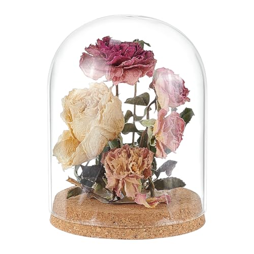 BENECREAT Glass Display Dome Cloche, 4.9x6.5 inch, Clear Glass Bell Jar with Cork Base for Decorative Jars, Flowers, Specimens, Crafts
