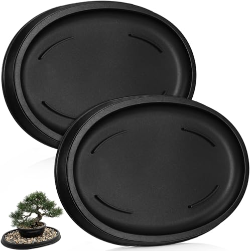 Pinkunn 2 Pcs Bonsai Humidity Drip Tray for Plants,9.13 x 6.02 Inch - size: 9.13 x 6.02 Inch