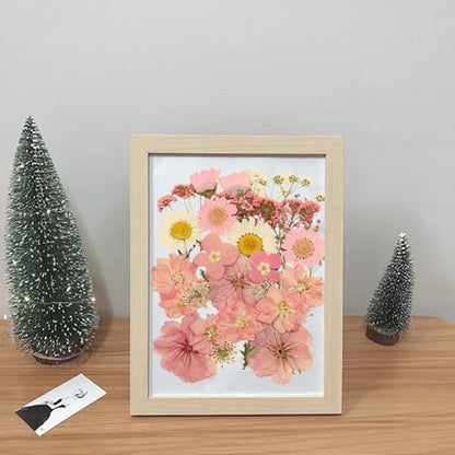 Dried Pressed Flowers for Crafts, Real Dried Flowers Natural Dry Flowers Bulk for Resin Candle Making Scrapbooking DIY Nails Jewelry Pendant Soap (Pink)