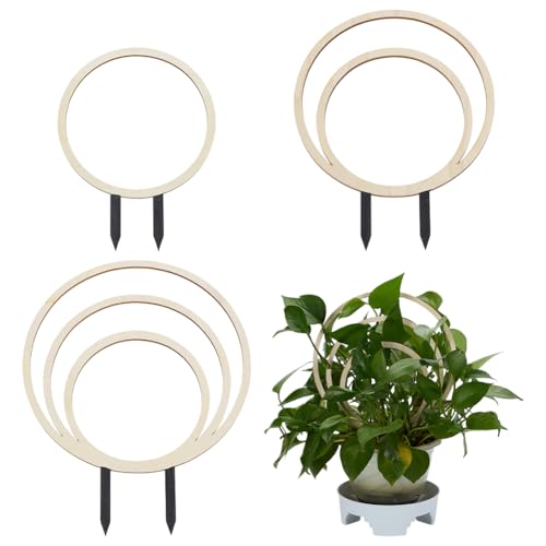 FINGERINSPIRE 3 PCS Circle Indoor Plant Trellises 3 Sizes Floral White Wooden Houseplant Trellis for Indoor Climbing Plants Round Garden Trellis Plant Support for Ivy Flowers Outdoor Potted Plants - color: Floral White