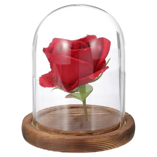 uxcell Glass Cloche Display Dome, 5.1" x 3.9" Glass Dome Display Case, Wood - size: 5.1" x 3.9"