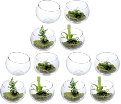 MyGift Premium Hotel Series 5 Inch Round Clear Glass Air Plant Terrariums, Mini Candy Bowl Jars, Tealight Candle Holders, Succulent Cactus Vases, Set of 4 (Pack of 3) - size: Set of 4 (Round) (Pack of 3)