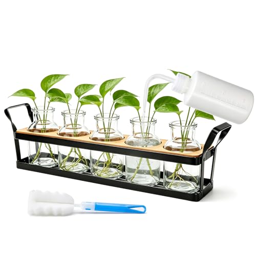 Salzesfalls Propagation Stations with Metal Stand, Tabletop Plant Terrarium