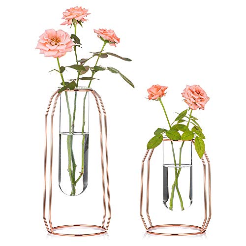 Vases Set of 2 Glass Vases with Metal Frame, Modern Rose Gold Frame Cylinder Clear Vase Planter Terrariums, Flower Holder Decorations for Wedding Living Room, Office, Party (Rose Gold, S+L) - color: Rose Gold, size: S+L