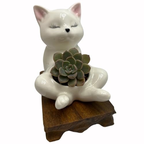 Cute Succulent Pots,White Ceramic Indoor Planters with Drainage and Wood Tray,Round Shallow Flower Plant Pots Decoration Cat - style: Cat
