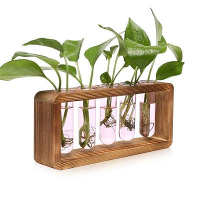 Glass Plant Propagation Station with 5 Test Tubes Colorful Planter Vase - color: Pink