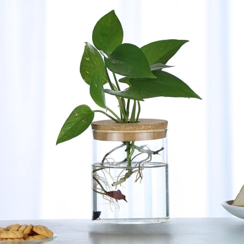 Plant Propagation Stations, Desktop Propagated Plant Jars, Lid Hydroponic Glass Planter for Office and Home Table Decorations, (Circular 3.9 * 3.3in) - size: 3.9*3.3 Inches