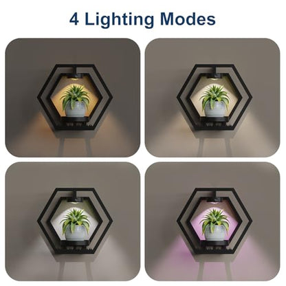 Shineled Wall Planter with Lights, Black Metal Wall Mounted Plant Stand with Adjustable Grow Light, Plant Holder for Indoor Living Room, Patio - 2 Pack