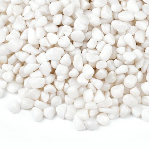 10 lbs Small White Rocks for Planters, 3/8" White Pebbles for Vases, Decorative Small Stones for Plants, Succulents, Bamboo, Terrarium, Landscape, Garden - color: White 3/8 Inch