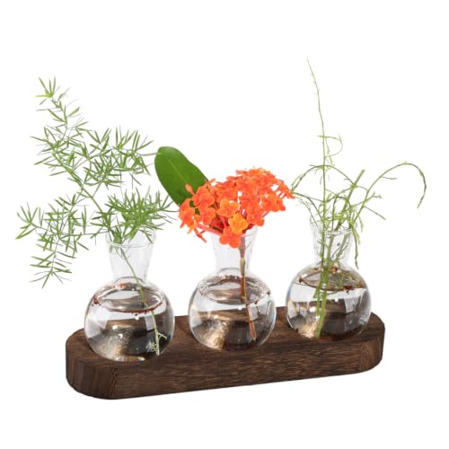 Plant Propagation Station with Wooden Stand, 3 Bulbs - color: 3 Bulbs
