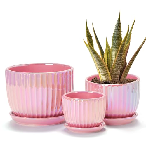 Pink Plant Pots，Ceramic Planters with Drainage Holes and Saucers Set of 3 | Ceramic Planters for Indoor Plants | Cute Plant Pots | Modern Succulent Pots | Decorative Garden Pots | Pretty Planters - color: Pink