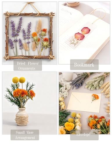 xin's convey DIY Natural Dried Flower Set, Bulk Dried Flowers for Vase, Dried Flowers with Stems, Dried Roses, Mini Dried Flower Bouquets.(Brown) - color: Brown