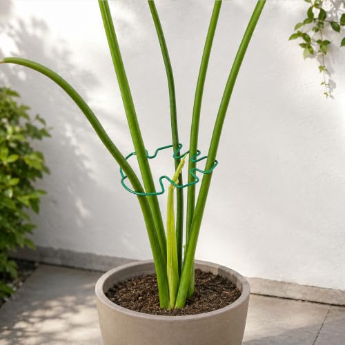Yohsnor Green Monstera Plant Stem Support,5-Pack Stem Holder (5.5x4.7in) - color: Green, size: 5.5IN*4.7IN