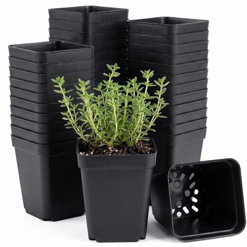 50 Packs Square Nursery Pots for Plants 2.2 Inch Seedling Pots | Plastic seed starter pots for seedlings and succulents; square planter nursery pots in assorted sizes work as flower pots. - size: 2.2 Inch