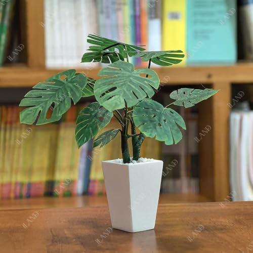iLAND Crafts for Teens Girls Adult Women DIY Miniature Plants Craft Kits for Beginners Crafting Kits for Teens 14-16 Girls Mini Décor 1/12 Scale Accessories Making Set Crafty Gift Small