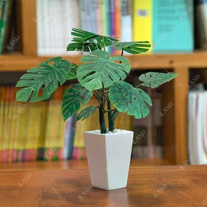 iLAND Crafts for Teens Girls Adult Women DIY Miniature Plants Craft Kits for Beginners Crafting Kits for Teens 14-16 Girls Mini Décor 1/12 Scale Accessories Making Set Crafty Gift Small