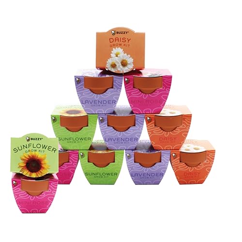 Buzzy Seeds Bright Series Grow Kit, Assorted 12-Pack - Mini Terracotta Pot Grow Set - Complete Indoor/Outdoor Gardening Kit with Seeds, Coconut Husk Growing Medium & Genuine Pots - 100% Grow Guarantee - color: Bright Series Assorted