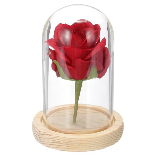 uxcell Glass Cloche Display Dome, 4.7" x 2.7" Glass Dome Display Case Wood Base Tabletop Jar Case Decorative Bell Jar for Plant Home Decor Office Wedding Party, Natural - size: 4.7" x 2.7"