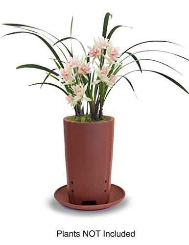 Dahlia 3.5" Zisha Tumbler Bonsai Planter/Succulent Pot/Flower Pot w. Saucer, Brown - color: Style 18: Brown