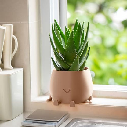 TOPOLA Happy Face Planter, 5.2 Inches Plastic Plant Pot, Self Watering Plant Pot with Drainage Holes for Indoor Outdoor, Succulent Pot, Funny Flower Pot, Khaki - color: Khaki
