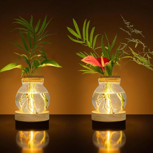 Plant Propagation Station with Wooden Saucer, Glass Terrarium with Stepless Dimming Function Hydroponic Glass Container Vase Jars Gardening Gifts for Mom Women Plant Lovers(2 Pack) - color: Clear 2 Pack