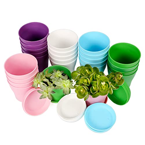 TDHDIKE 10 Pcs Plastic Planters Indoor Flower Plant Pots (5color) | Mini Seedlings Nursery Pot with Pallet, Modern Decorative Gardening Containers, 25 Pack - color: 5color 25