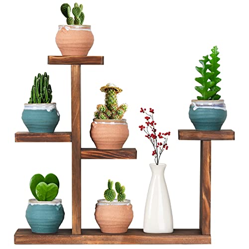 Wooden Tabletop Plant Stand 5 Tier Small Desktop Succulent Plant Holder