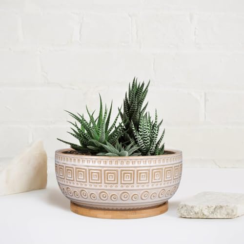 G EPGardening 8 Inch Ceramic Succulent Planter Pots for Indoor Plants Round Shallow Bonsai Planter Pot with Drainage and Bamboo Saucer White - color: White