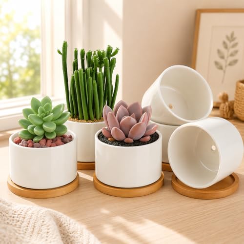 ZOUTOG 6 Pack 3.6" Ceramic Succulent Pots,White Planter with Drainage Tray - size: 6 pack