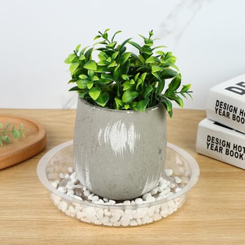 6 Pcs Plant Saucer, 10 Inch Plastic Plant Trays Flower Pot Saucers, Clear Plant Saucer Drip Trays for Indoor & Outdoor Plants, Round