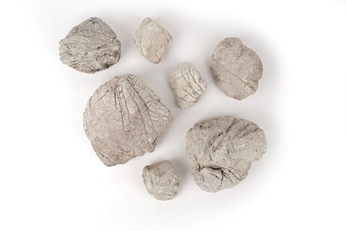 LANDEN Grey Elephant Skin Stone 18lb Aquarium Rocks for Fish Tank Decor - size: 16 Elephant Skin Stone Grey(3-9 inches,18lbs)